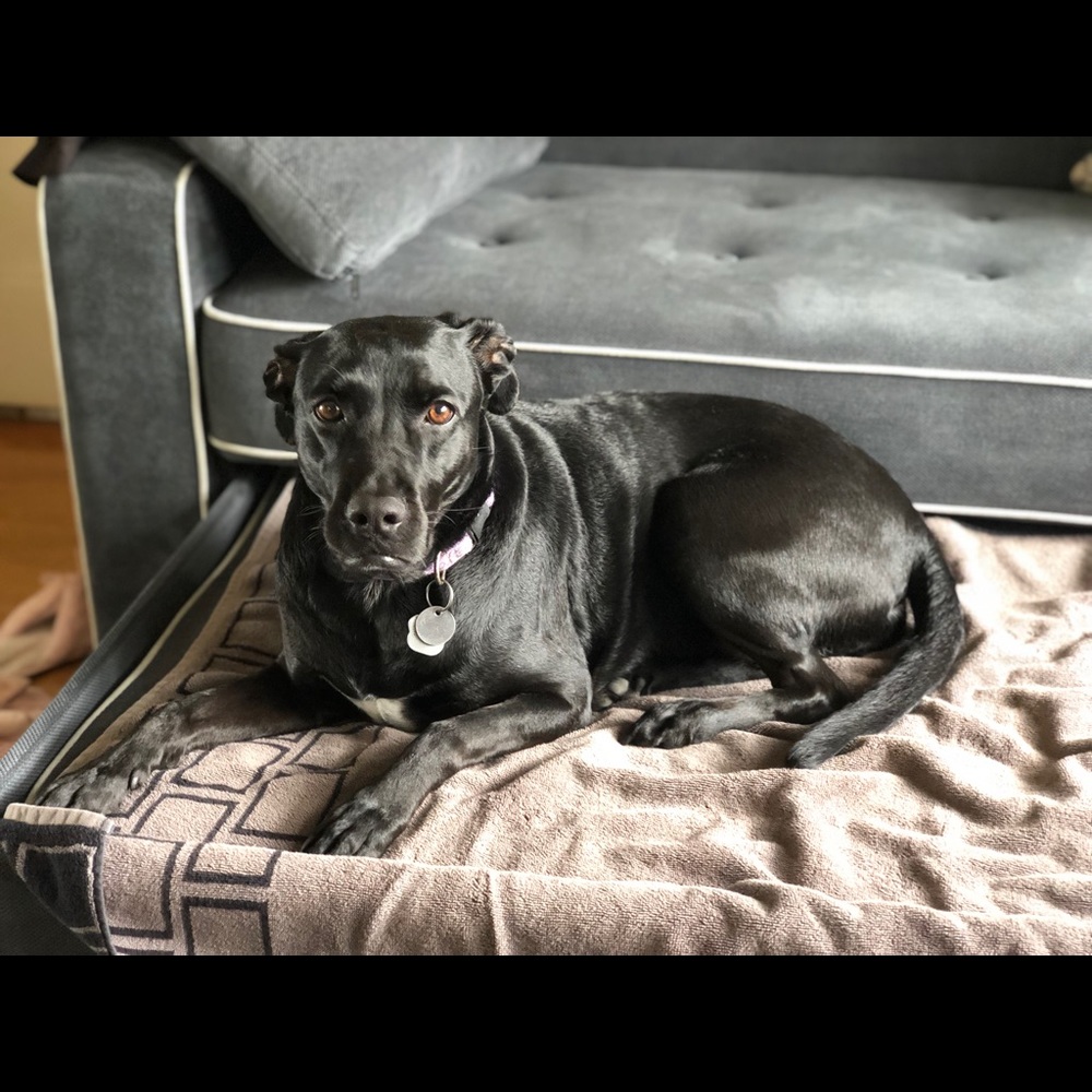 Meet your Posher, Jaime